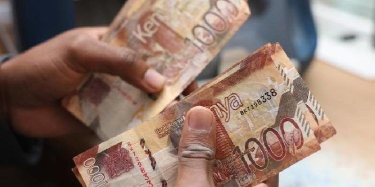 6219 L - The Accidental Farmer