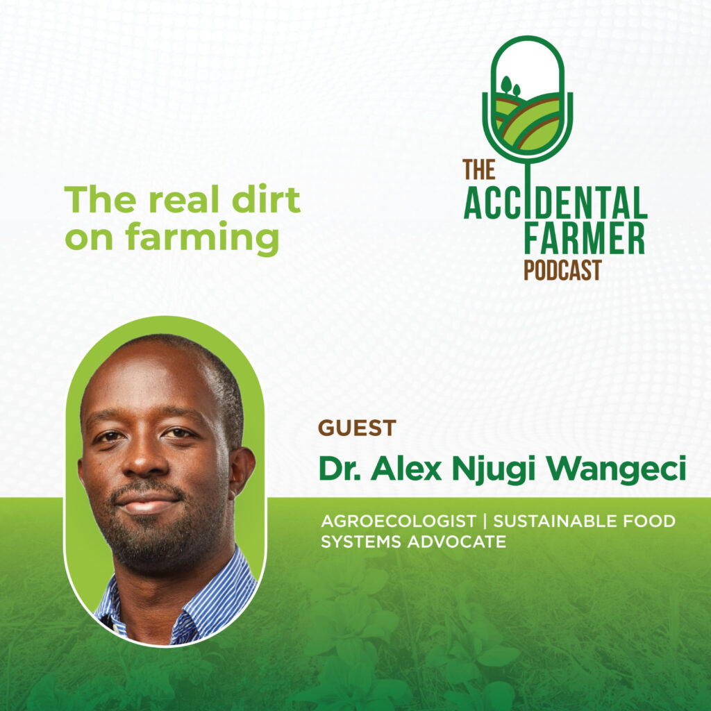 WhatsApp Image 2025 04 07 At 11.00 - The Accidental Farmer