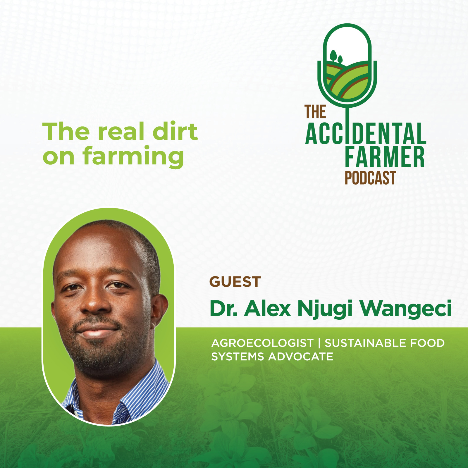 WhatsApp Image 2025 04 07 At 11.00 - The Accidental Farmer